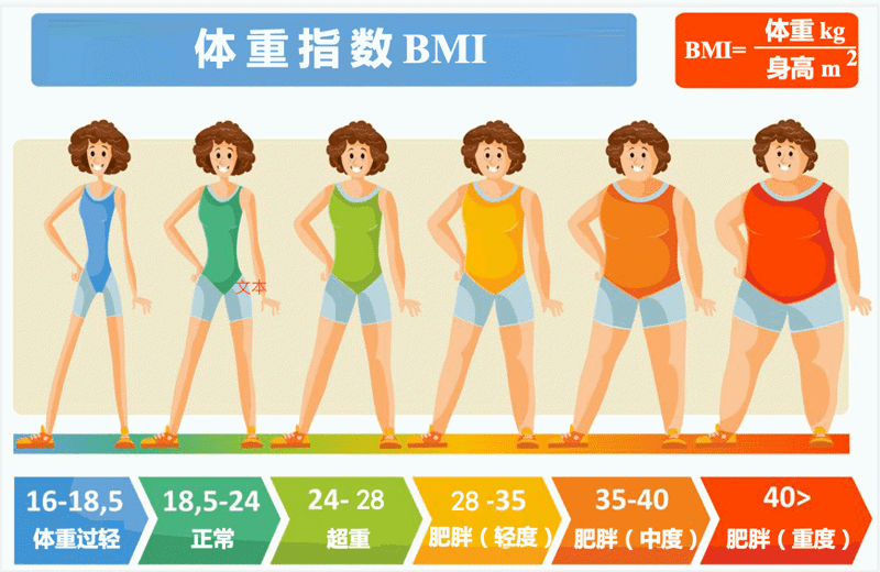 营养科普｜这些人体成分数据与生育力有哪些关系？