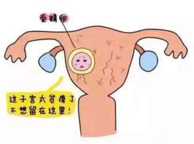 子宫内膜薄，该怎么办？