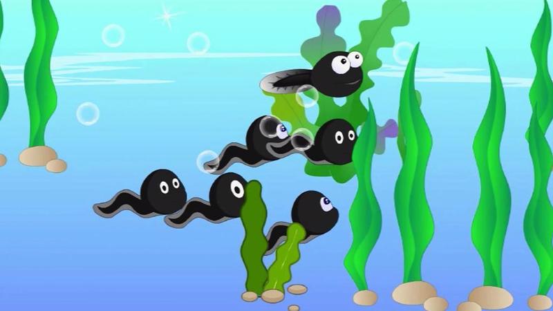 【父亲节系列科普】100个男人里，就有1个没有“小蝌蚪”