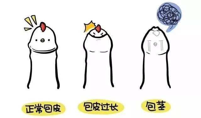 这个夏天，帮您的孩子“解放”一下！
