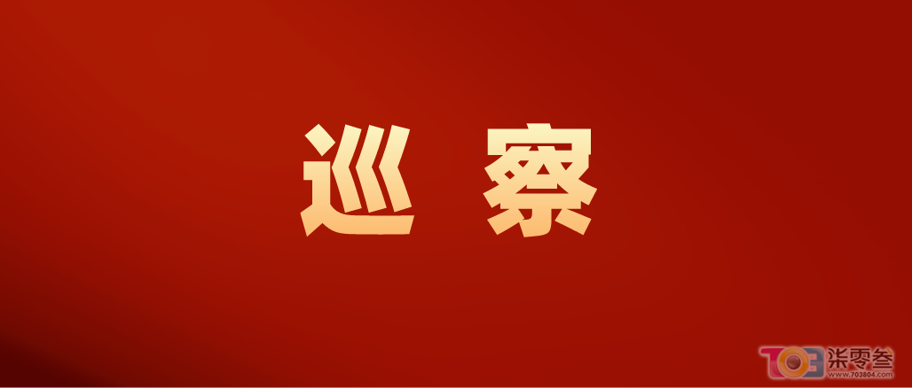 我院党委召开巡察整改工作推进会