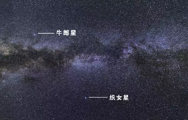 七夕一年只有一次，但这里每天都在搭建“鹊桥”
