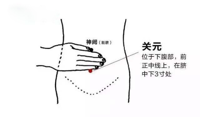 科普｜中医生殖常用保健穴位（二）