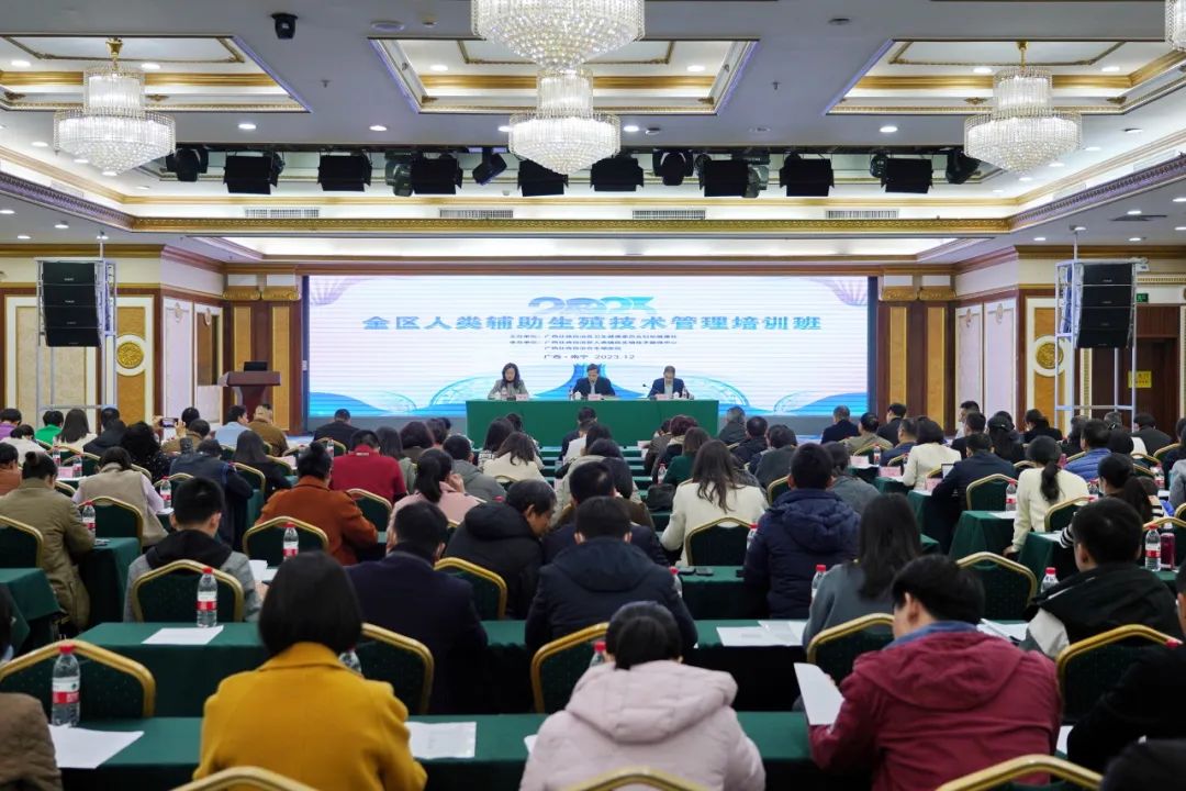 日征月迈，岁律更新——回顾2023年
