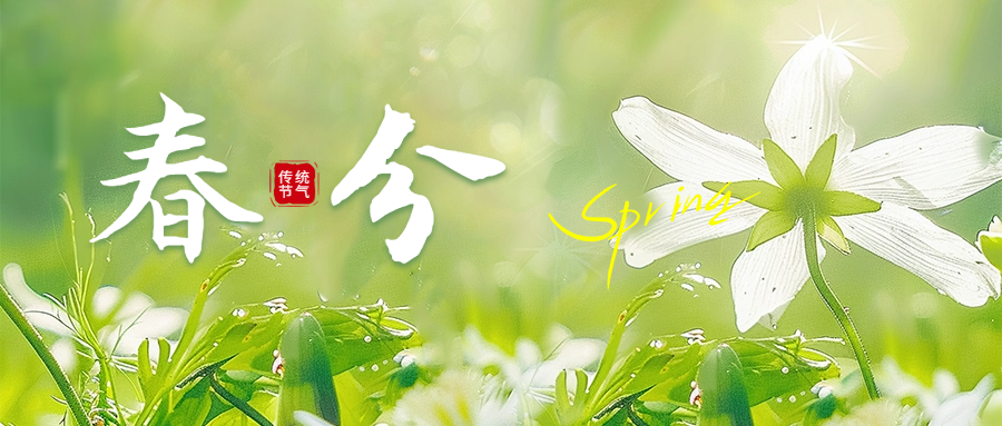 春分丨阴阳平衡，养生以和为贵
