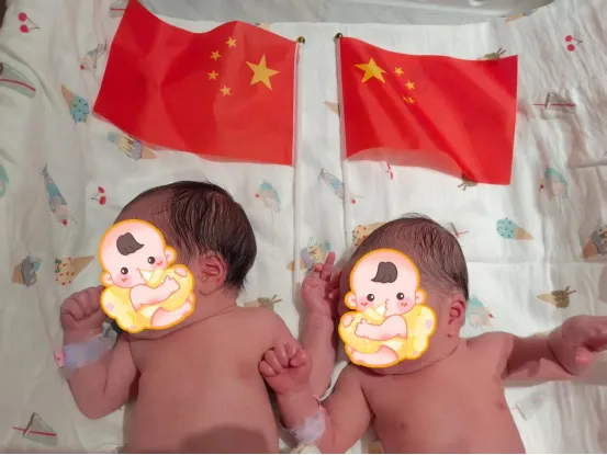 喜报！十月双节喜成双！我院迎来试管双胎小宝宝，爱意满溢产科病房