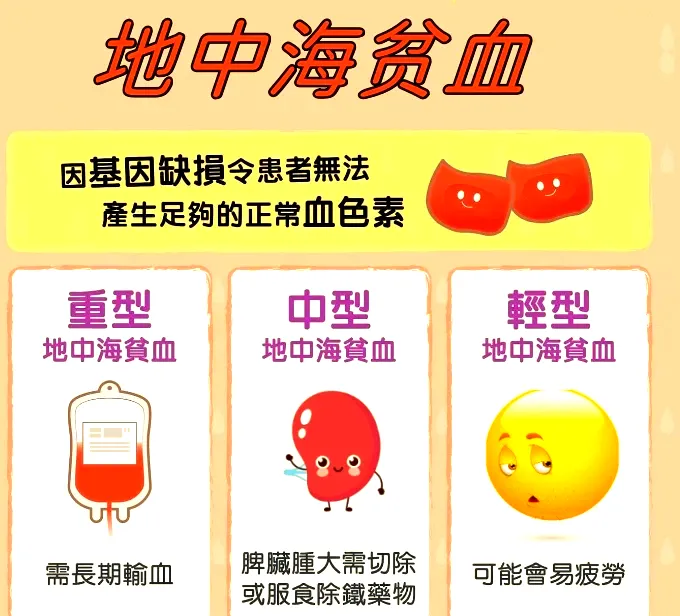 防控地贫，携手同行——2025年世界地中海贫血日科普宣传