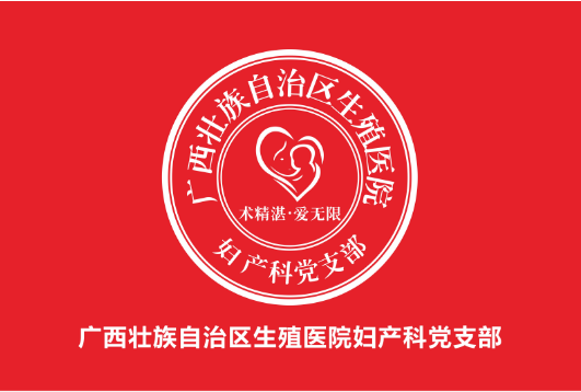 妇产科党支部品牌.png 妇产科党支部品牌.png